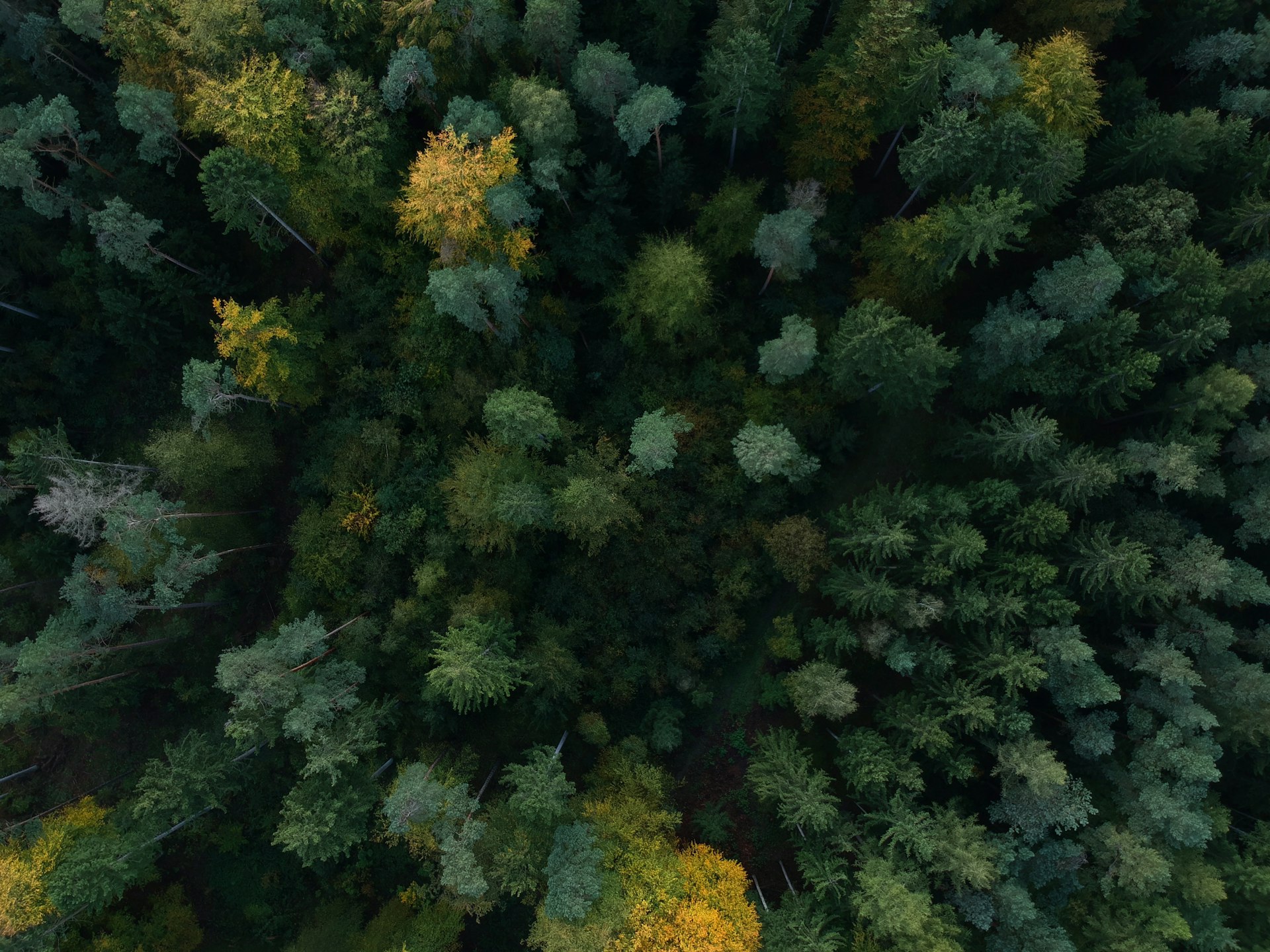 Voie Verte du Chemin d’Encochebérot